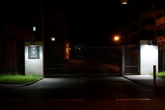 ifpim noca (19).JPG
